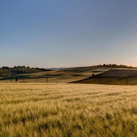 In With Pool And Val Di Chiana View
