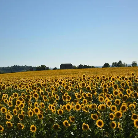 וילה In With Pool And Val Di Chiana View