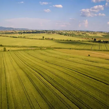 Villa In With Pool And Val Di Chiana View *