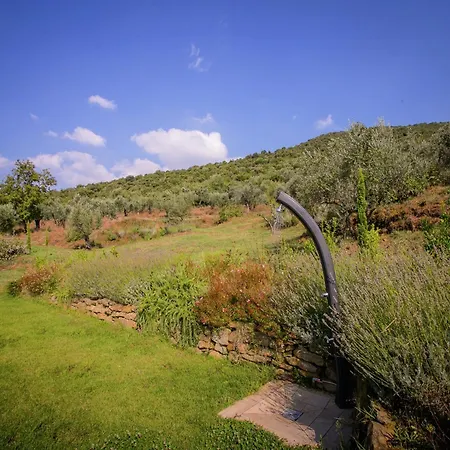 In With Pool And Val Di Chiana View Villa