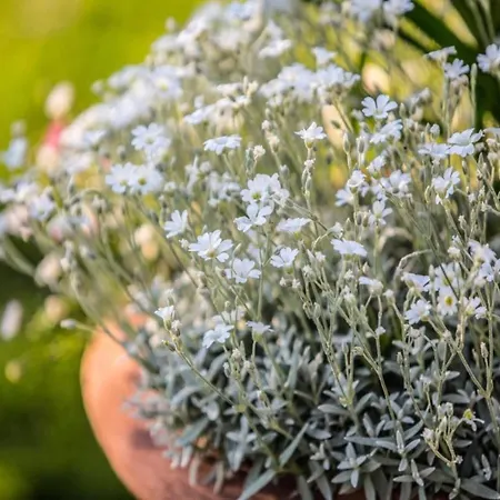 וילה In With Pool And Val Di Chiana View *