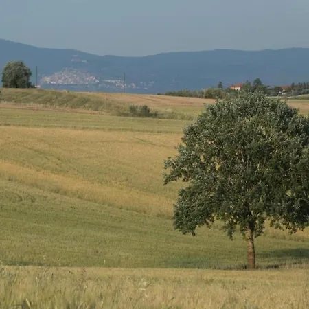 In With Pool And Val Di Chiana View וילה קורטונה