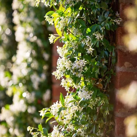 וילה In With Pool And Val Di Chiana View קורטונה