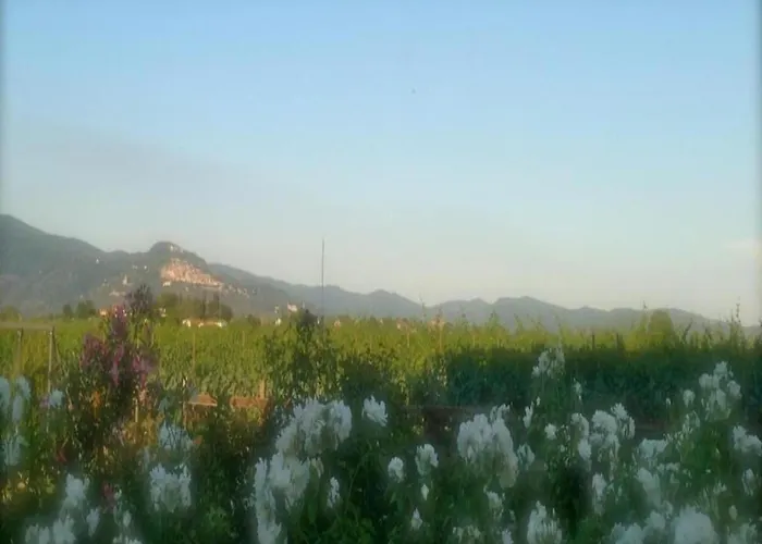 In With Pool And Val Di Chiana View * Cortona