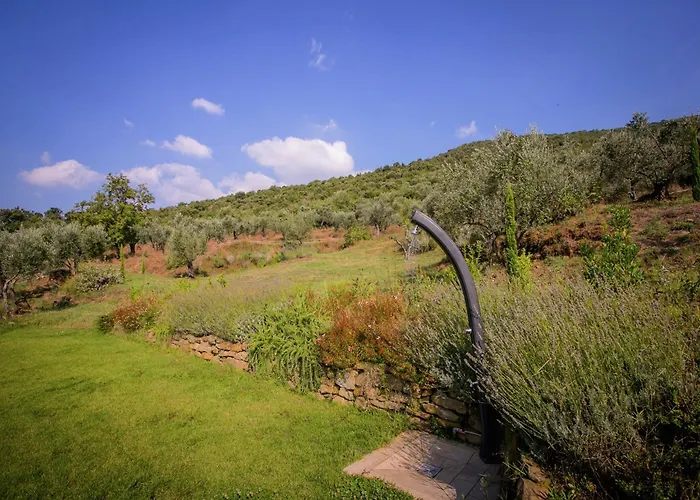 In With Pool And Val Di Chiana View Villa