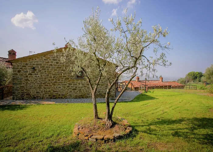 Villa In With Pool And Val Di Chiana View *