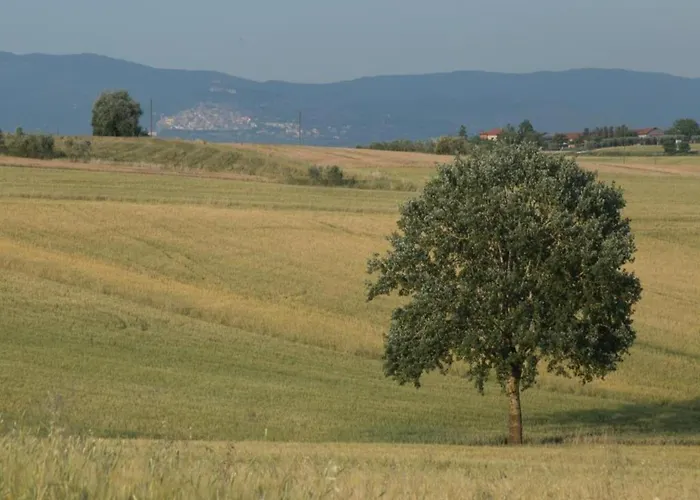 In With Pool And Val Di Chiana View Villa Cortona