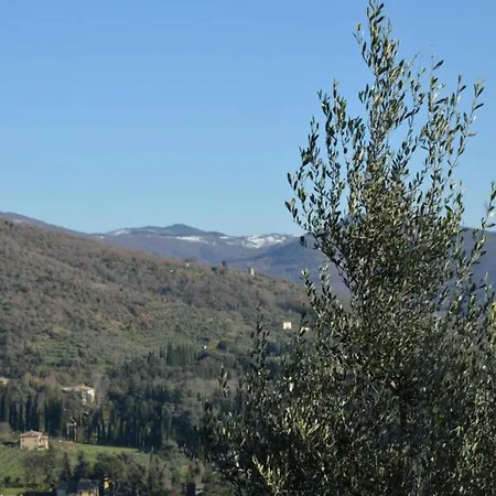 In With Pool And Val Di Chiana View Villa *
