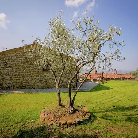 Villa In With Pool And Val Di Chiana View *